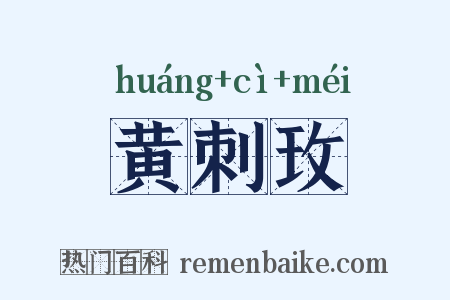 黄刺玫是什么意思的图片